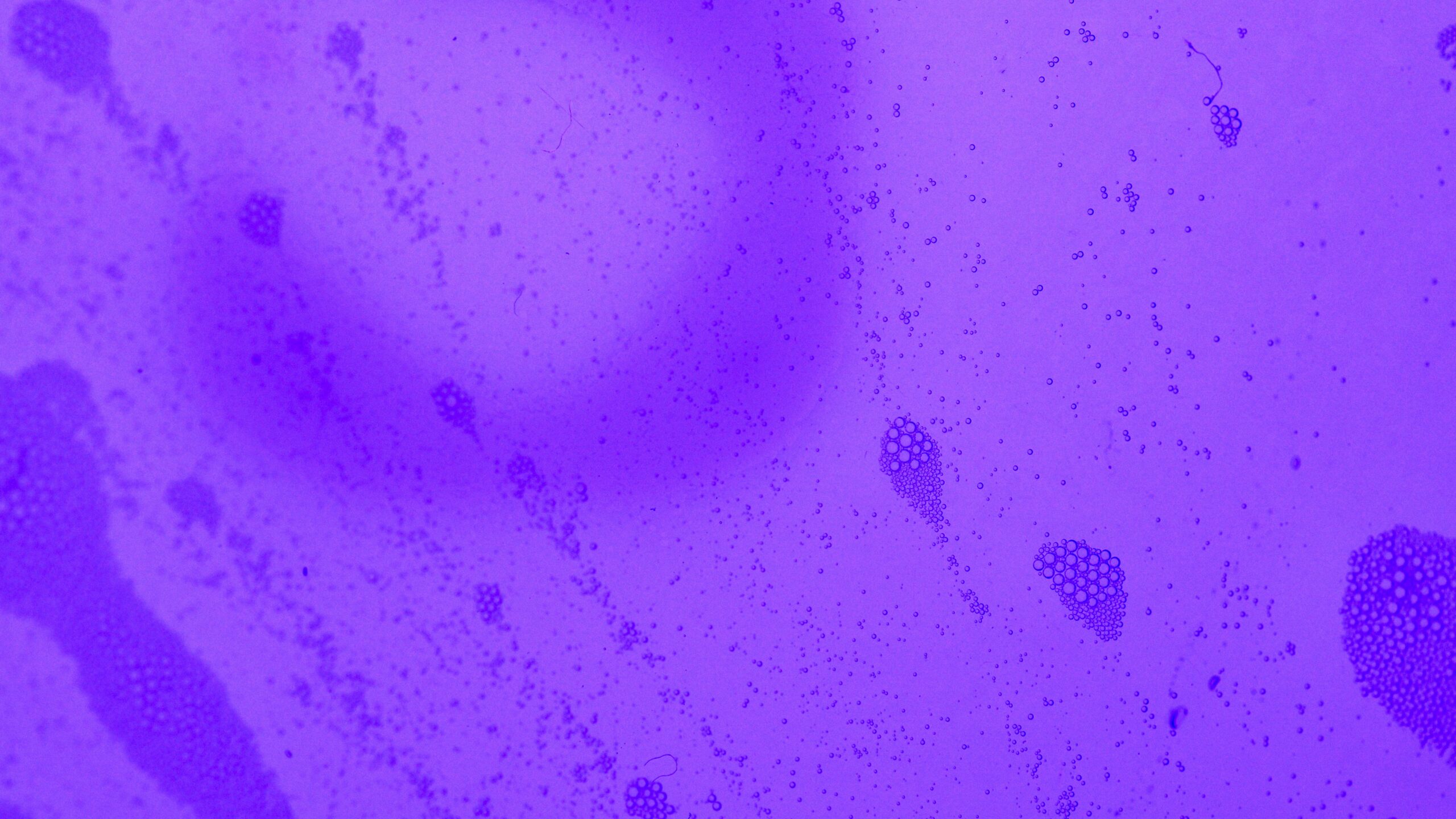 Vivid abstract image with purple tones and bubbles, perfect for creative projects and backgrounds.